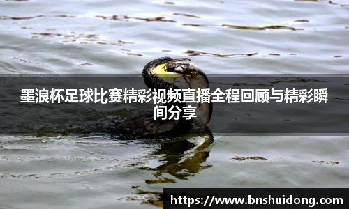 墨浪杯足球比赛精彩视频直播全程回顾与精彩瞬间分享